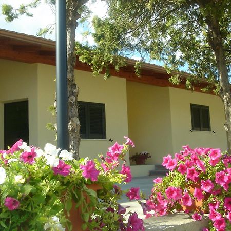 Hotel Samarcanda Civitavecchia Dış mekan fotoğraf
