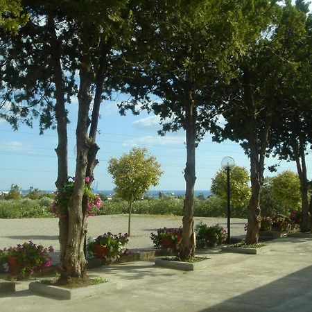 Hotel Samarcanda Civitavecchia Dış mekan fotoğraf